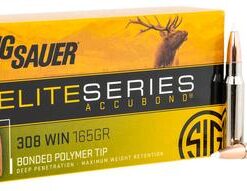 Buy Ammo 308 Win