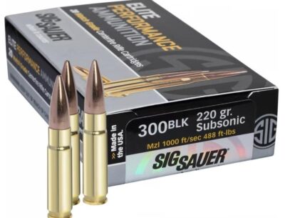 Buy Ammo 300blk 220gr