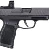 Buy P365, 9mm