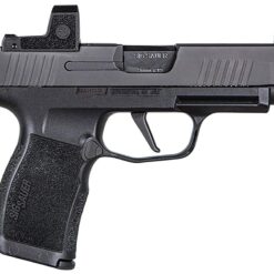 Buy P365, 9mm