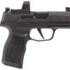 Buy P365 9mm