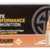 Buy Ammo, 300 Win Mag