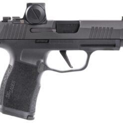 Buy P365xl 9mm