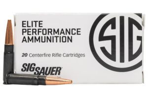 Buy Ammo 300blk 120gr